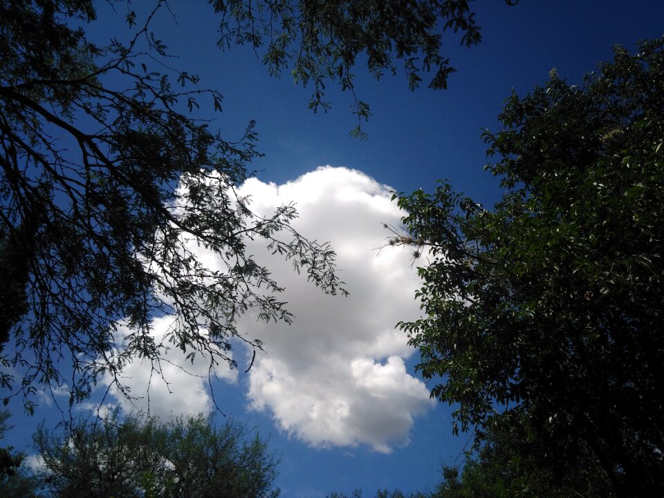 Above nature