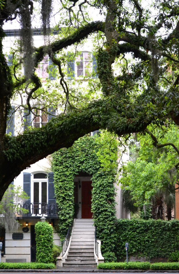 Historic architecture scene