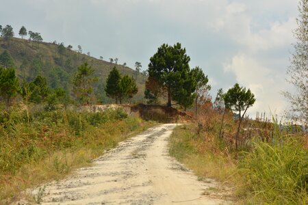 Mount indonesian the streets photo