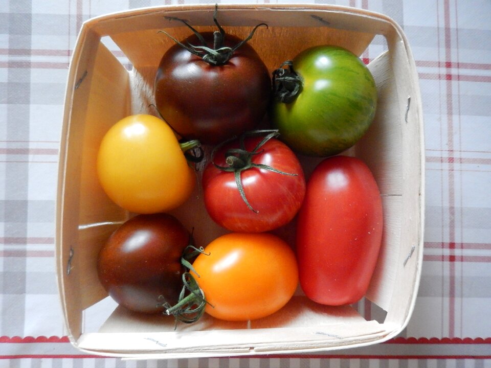 Garden power vegetable