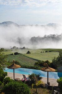 Pool landscape fog