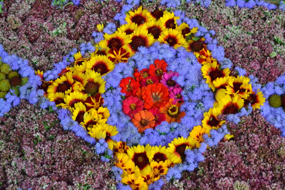Flowers floral pattern pattern