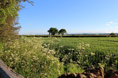 Countryside england yorkshire