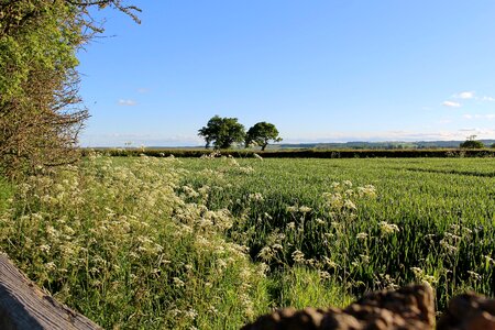 Countryside england yorkshire photo