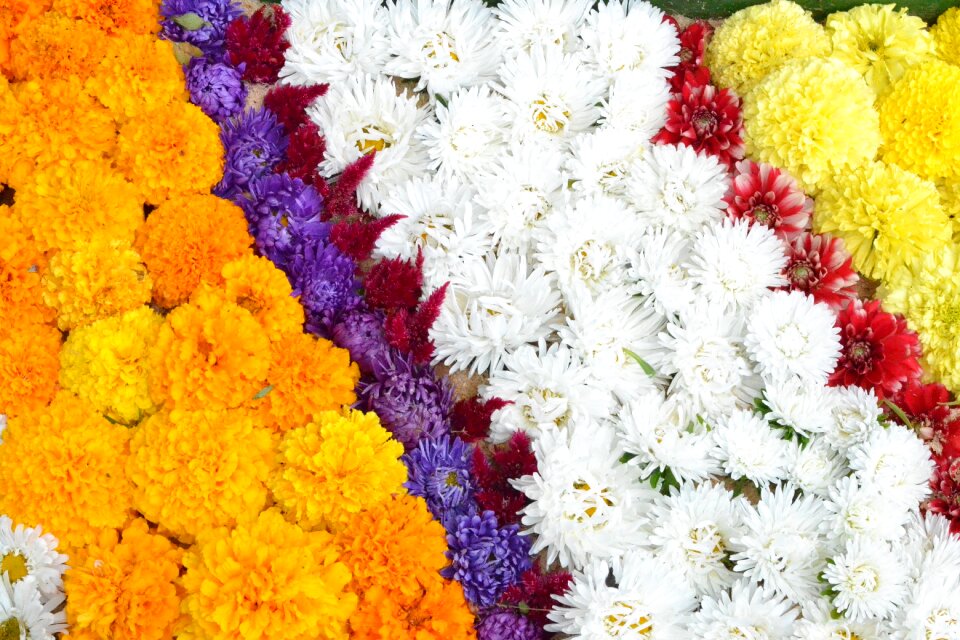 Flowers floral pattern pattern