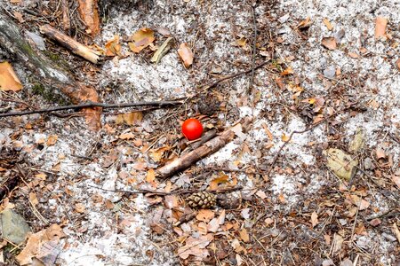 Ground sand nature