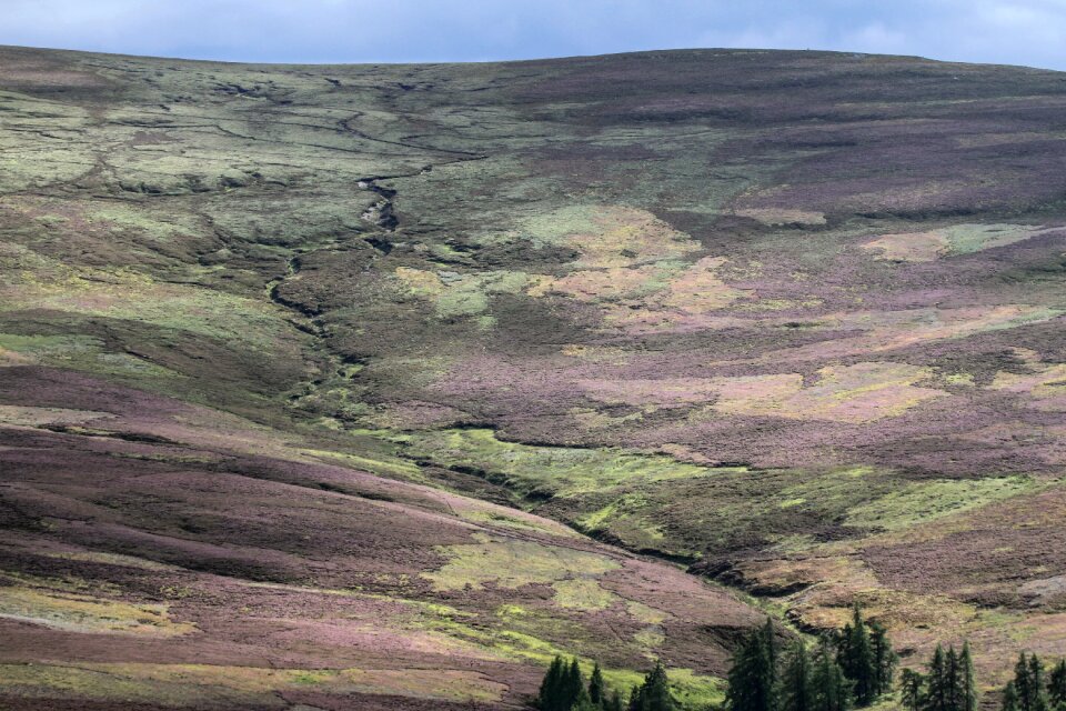 Landscape nature highlands