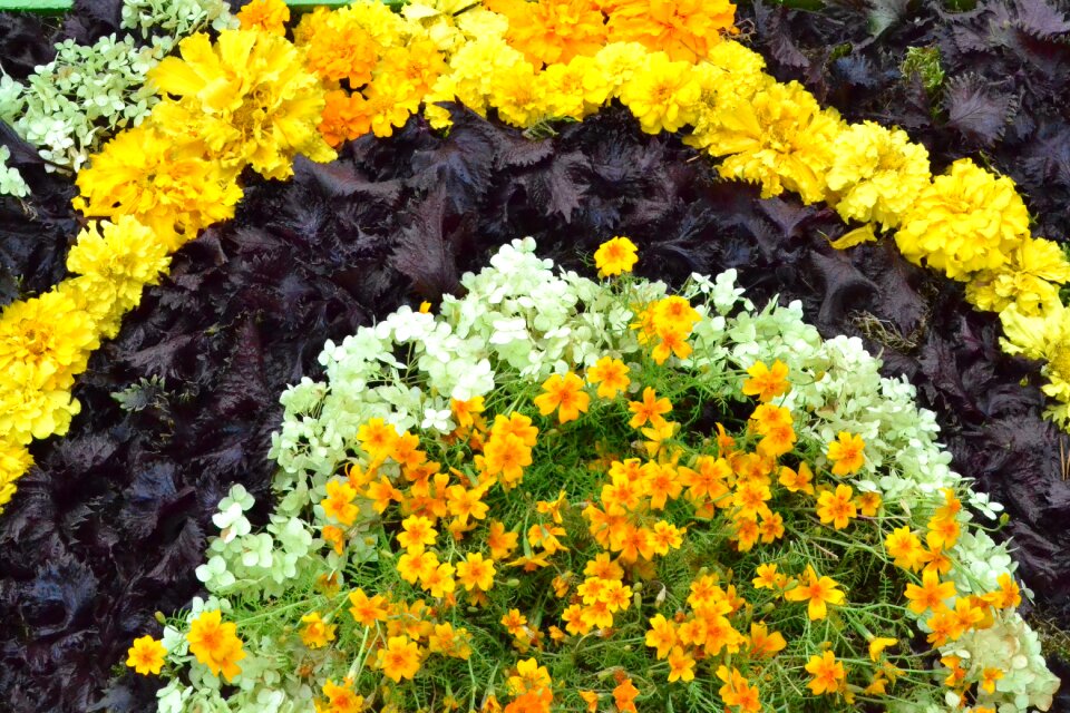 Flowers floral pattern pattern