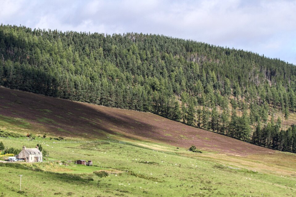 Landscape nature highlands
