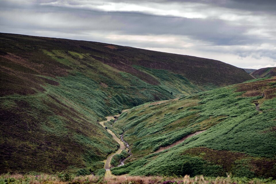Landscape nature highlands