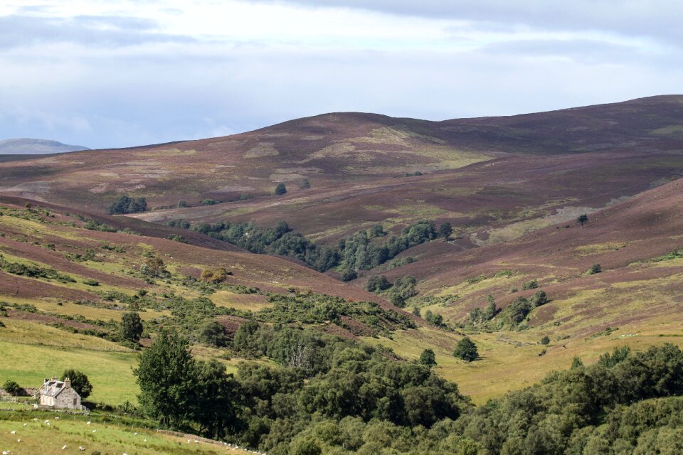 Landscape nature highlands