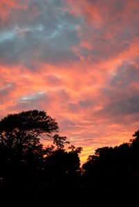 Silhouette sky