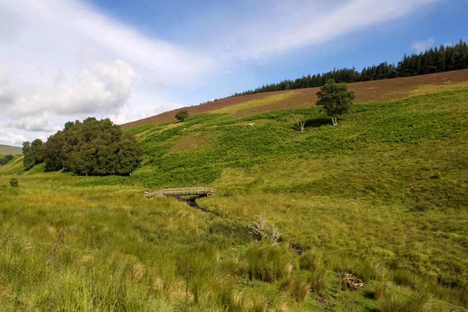 Landscape nature highlands