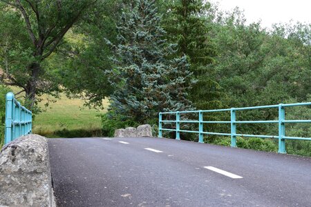 Fence green forests photo