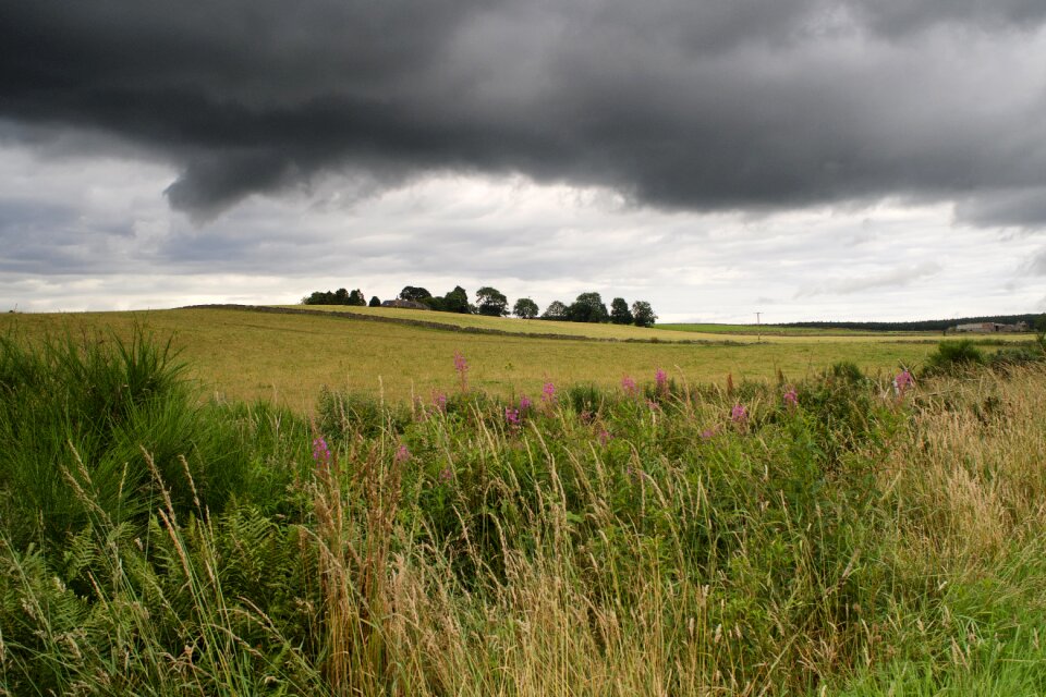 Landscape nature highlands