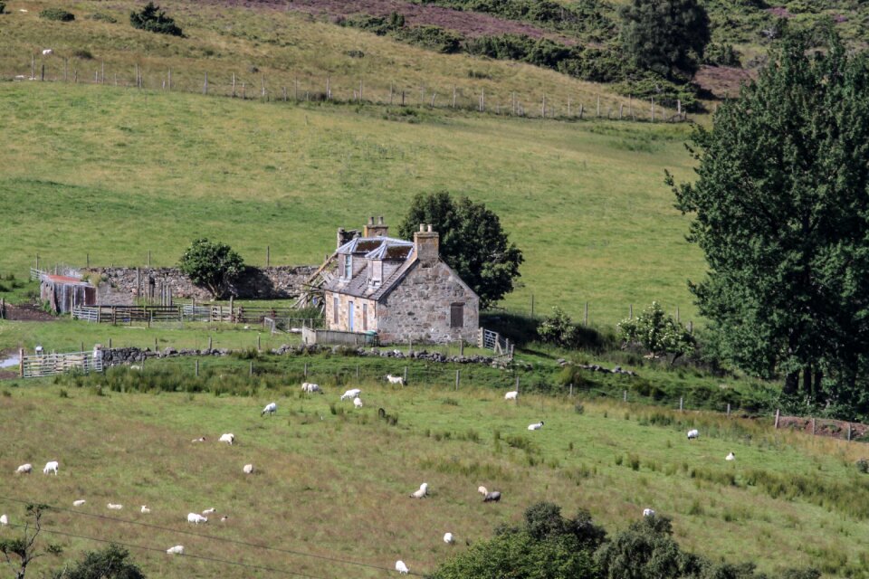 Building landscape nature
