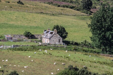Building landscape nature