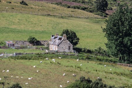 Building landscape nature photo