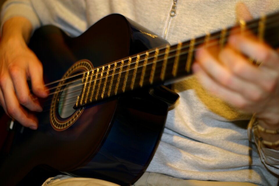 Musician instrument musical instrument