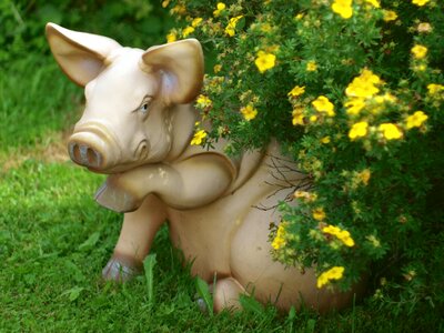 Clearance decorative grass