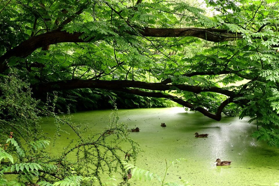Nature reserve idyllic rest
