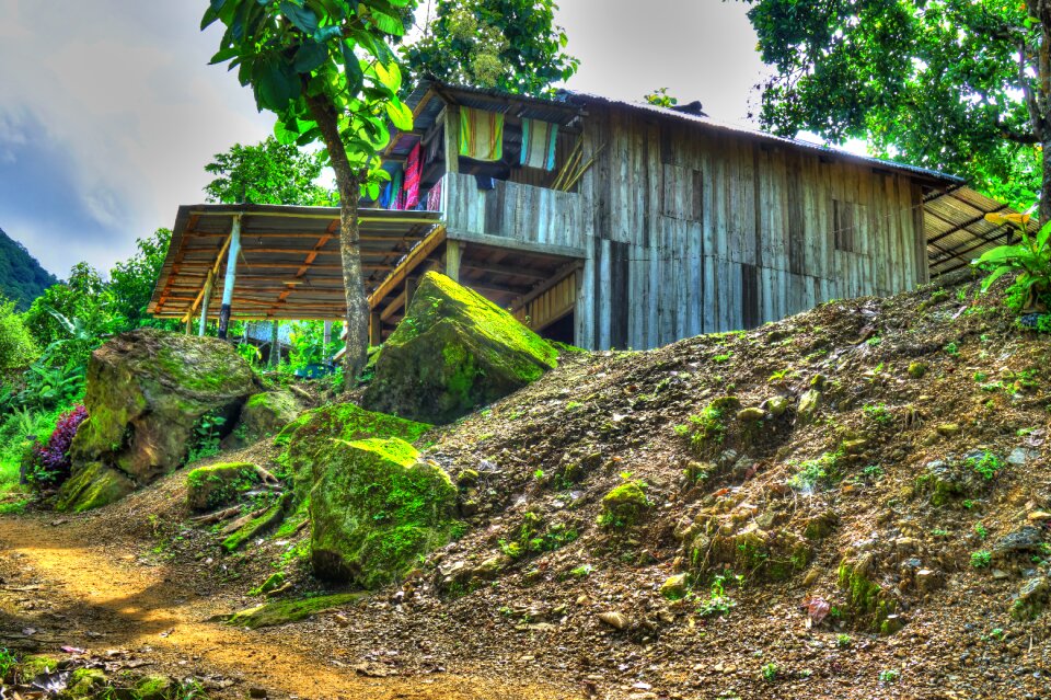 Countryside home tribal
