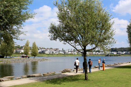 Phoenix lake walk relax photo