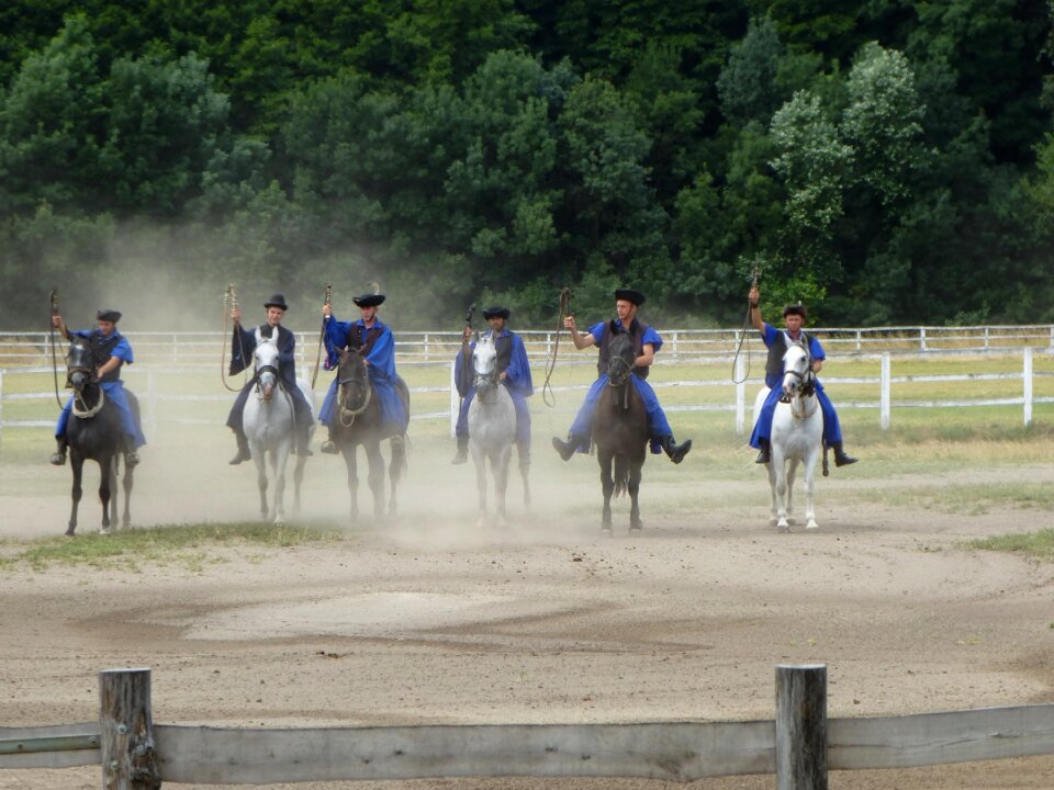 Equestrian droves art ride rural