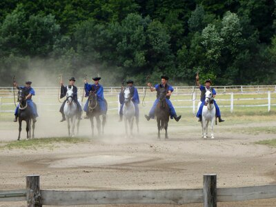 Equestrian droves art ride rural