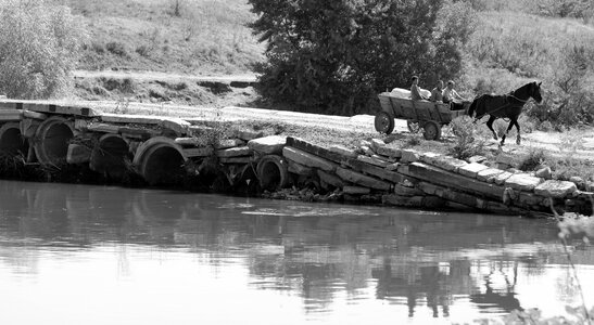 Water rural horse