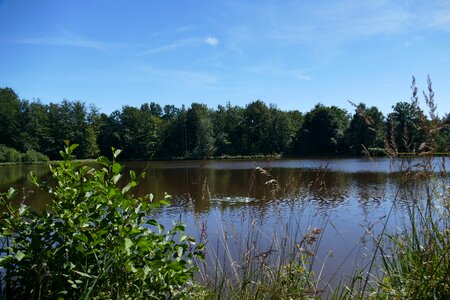 Ponds landscape idyllic