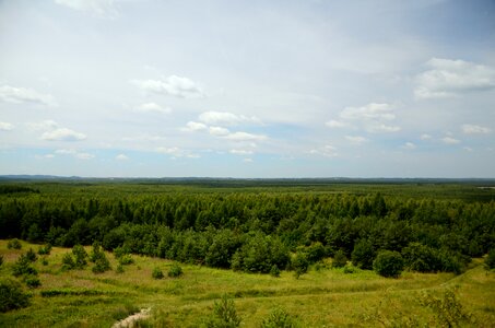 Summer the background poland