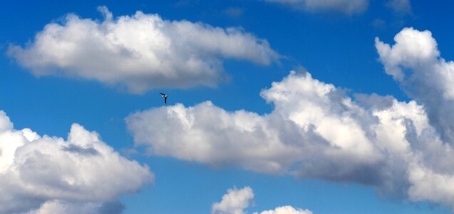 Cloud white fluffy