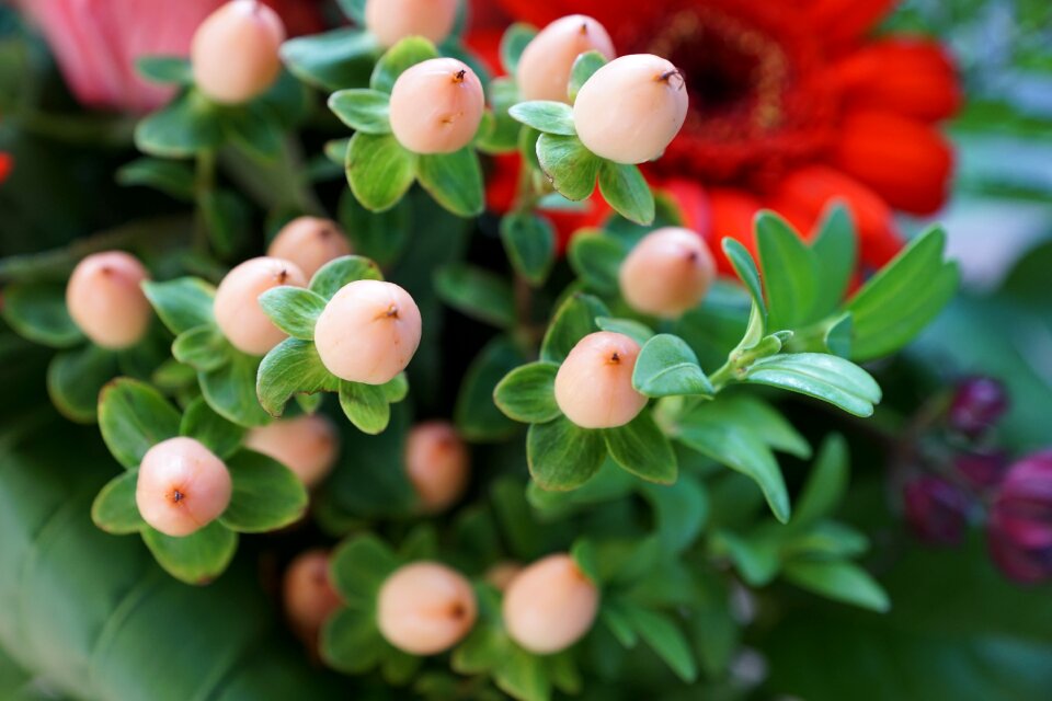 Spring fragrance aroma