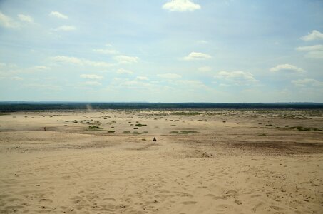 Desert błędowska summer forest