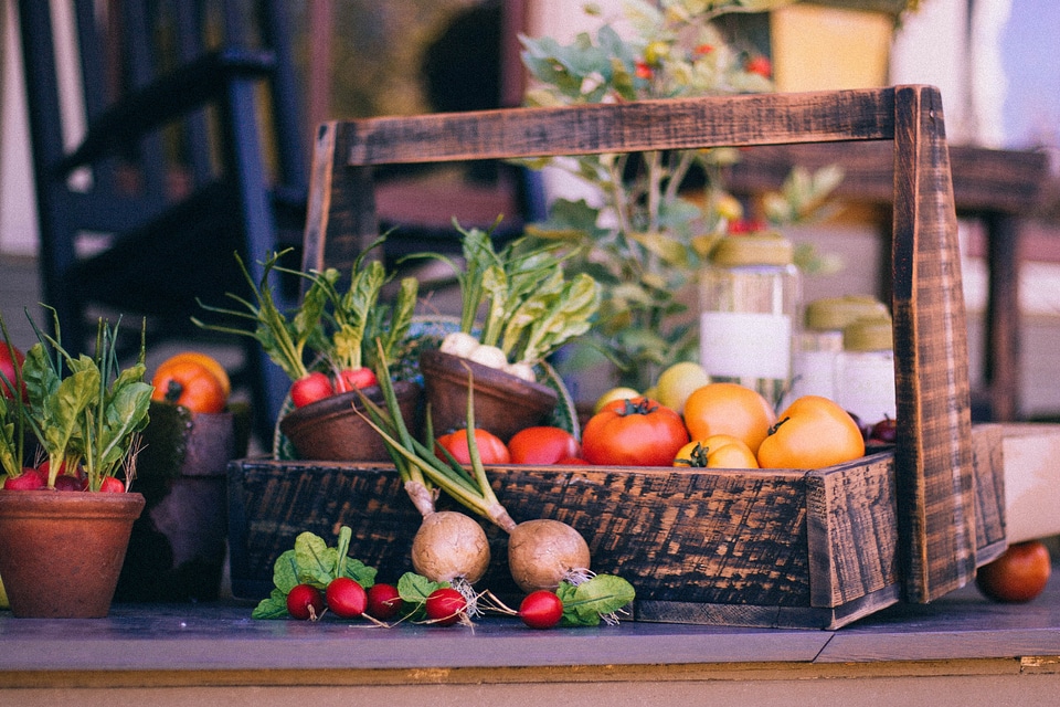 Thanksgiving basket garden