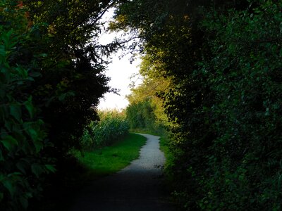Nature mysticism romantic