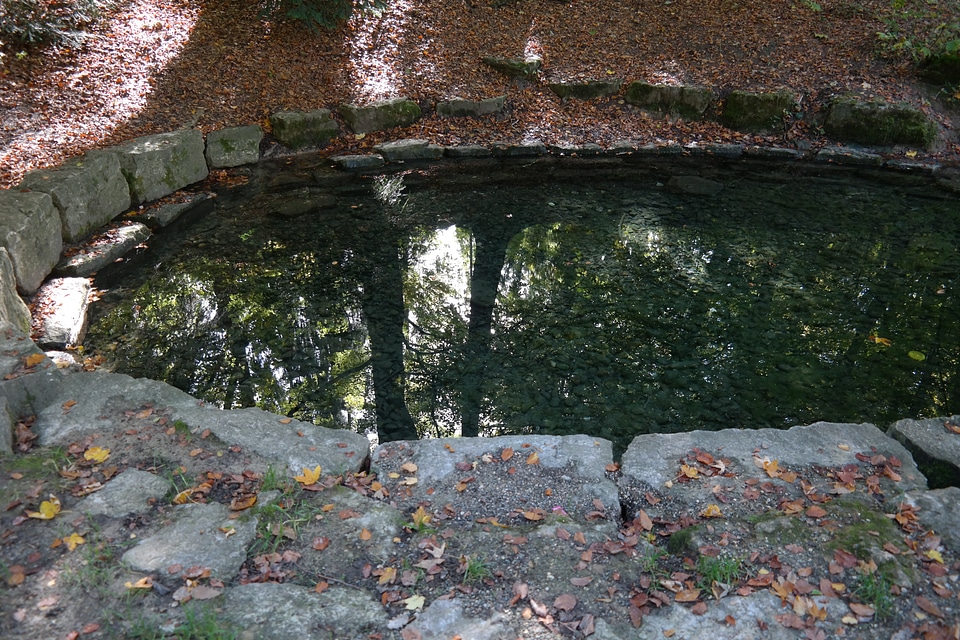 Laupheim schlossgarten mirroring