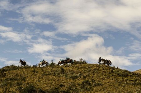 Arrieros peruvian andes andes sunset