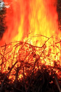 Flame burn flame log fire photo