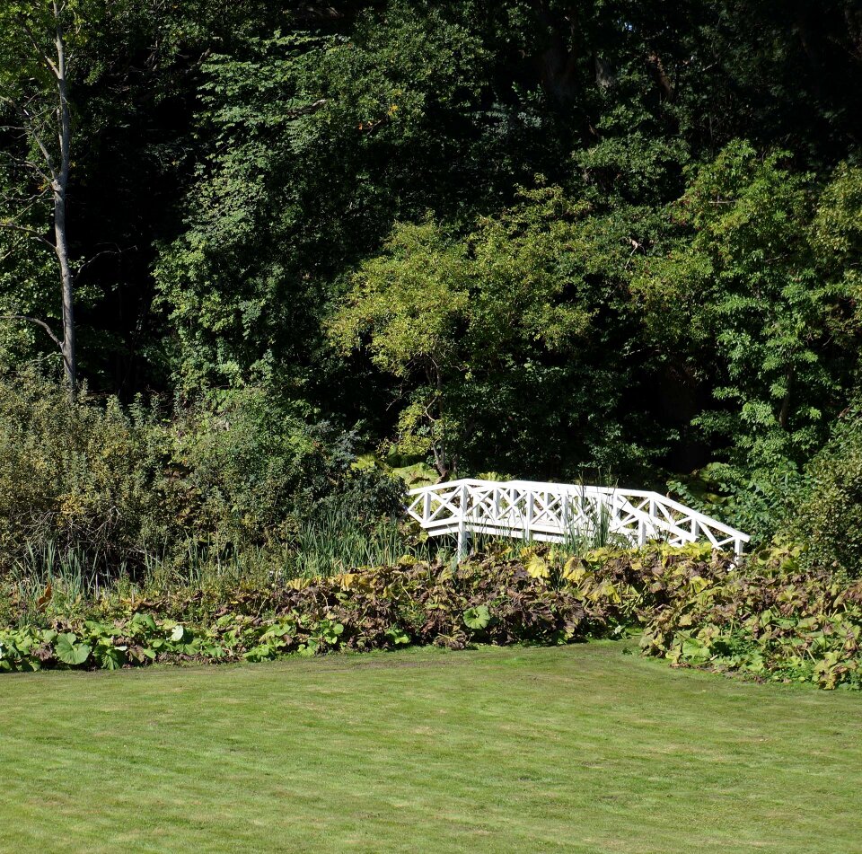 Garden nature landscapes