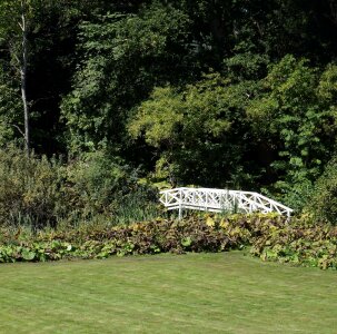Garden nature landscapes