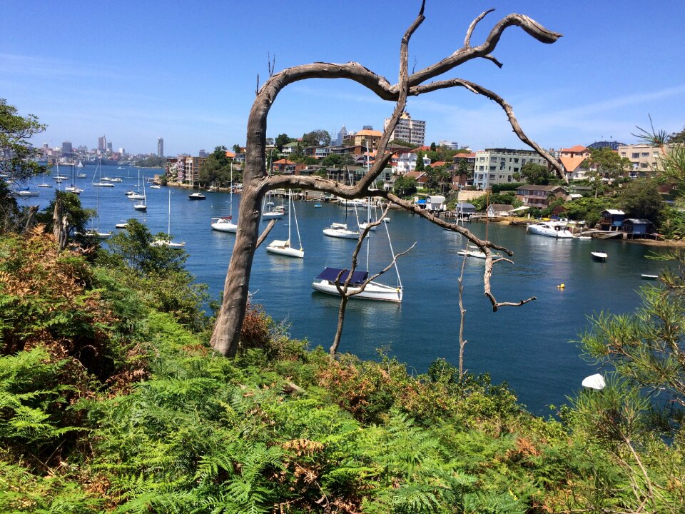 Sydney sydney harbour