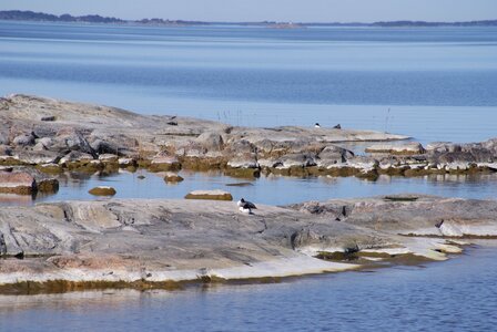 Coast nature seascape