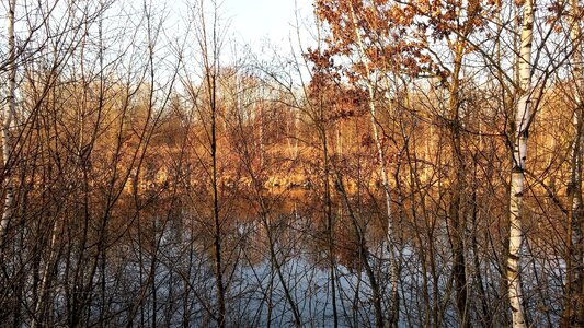 Autumn light sun