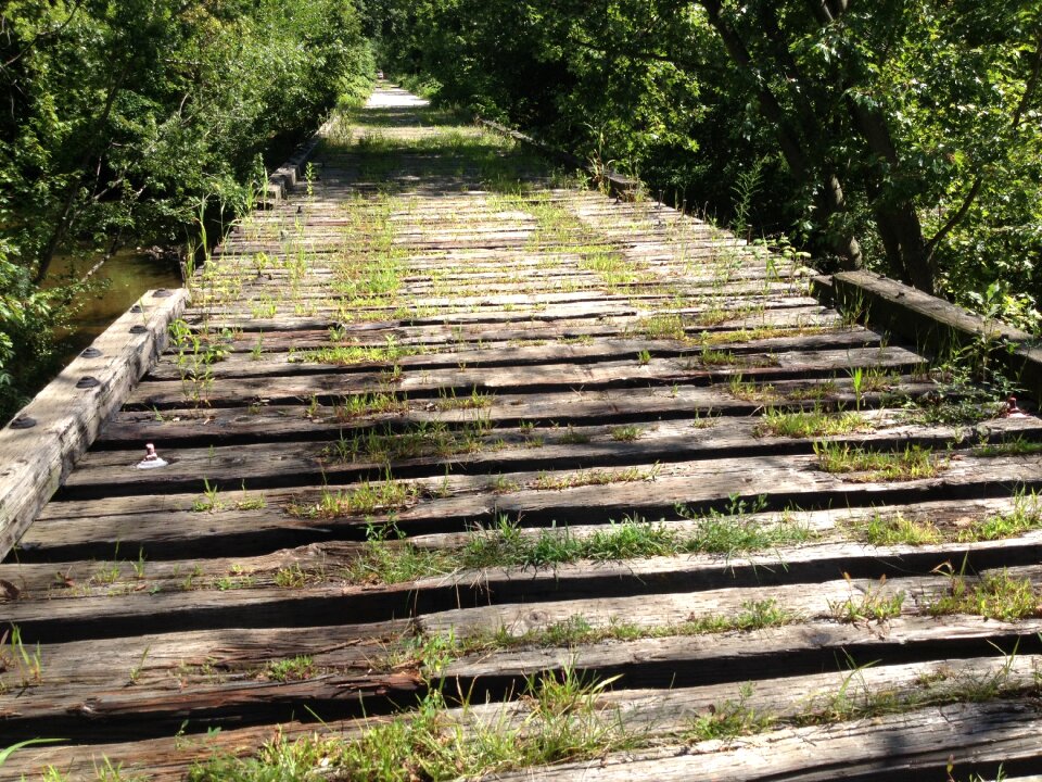 Old back road environment