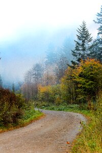 Nature peace of mind autumn