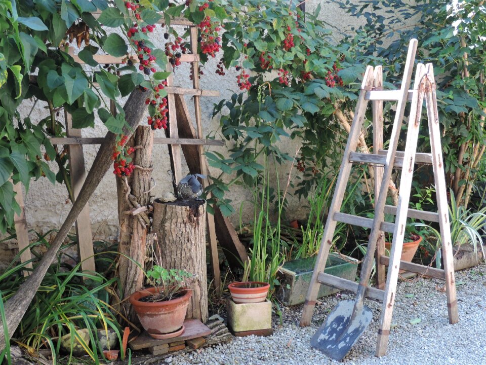 Ladder composition hobby