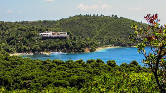 Biotope forest island photo