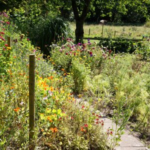 Garden nature landscapes